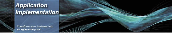 Enterprise Application Implementation