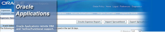 Oracle Applications Managed Services