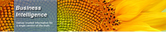 Business Intelligence