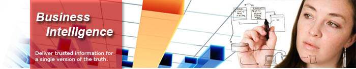 Business Intelligence