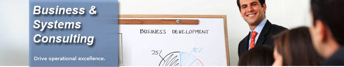 Business and Systems Consulting Services