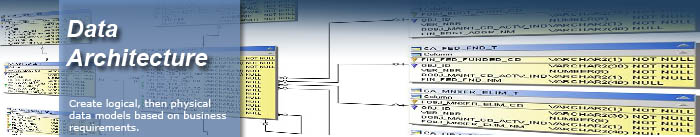 Data Architecture Services