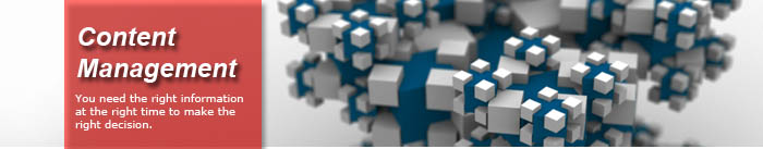 Content Management Solutions