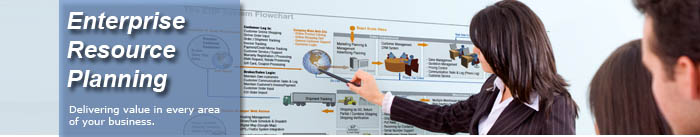 Enterprise Resource Planning