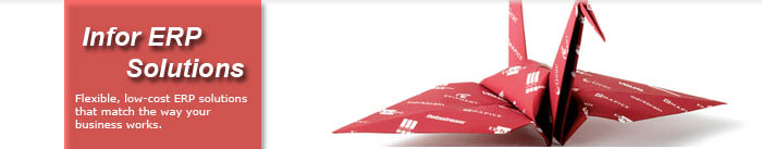 infor ERP Solutions