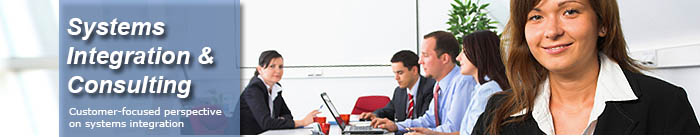 Systems Integration and Consulting