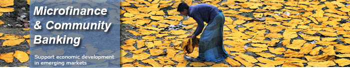 Microfinance and Community Banking