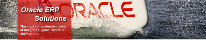 Oracle ERP Solutions