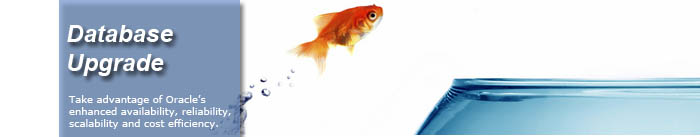 Oracle Database Upgrade Services