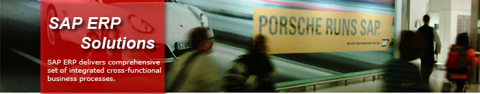 SAP ERP Solutions