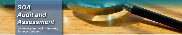 SOA Audit and Assessment