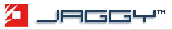 JAGGY Managed Services Support